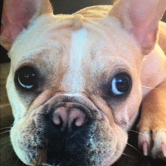 Meet your Posher, Debra - Picture 1 of 1